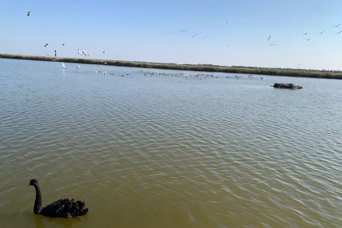Nandagang Wetland